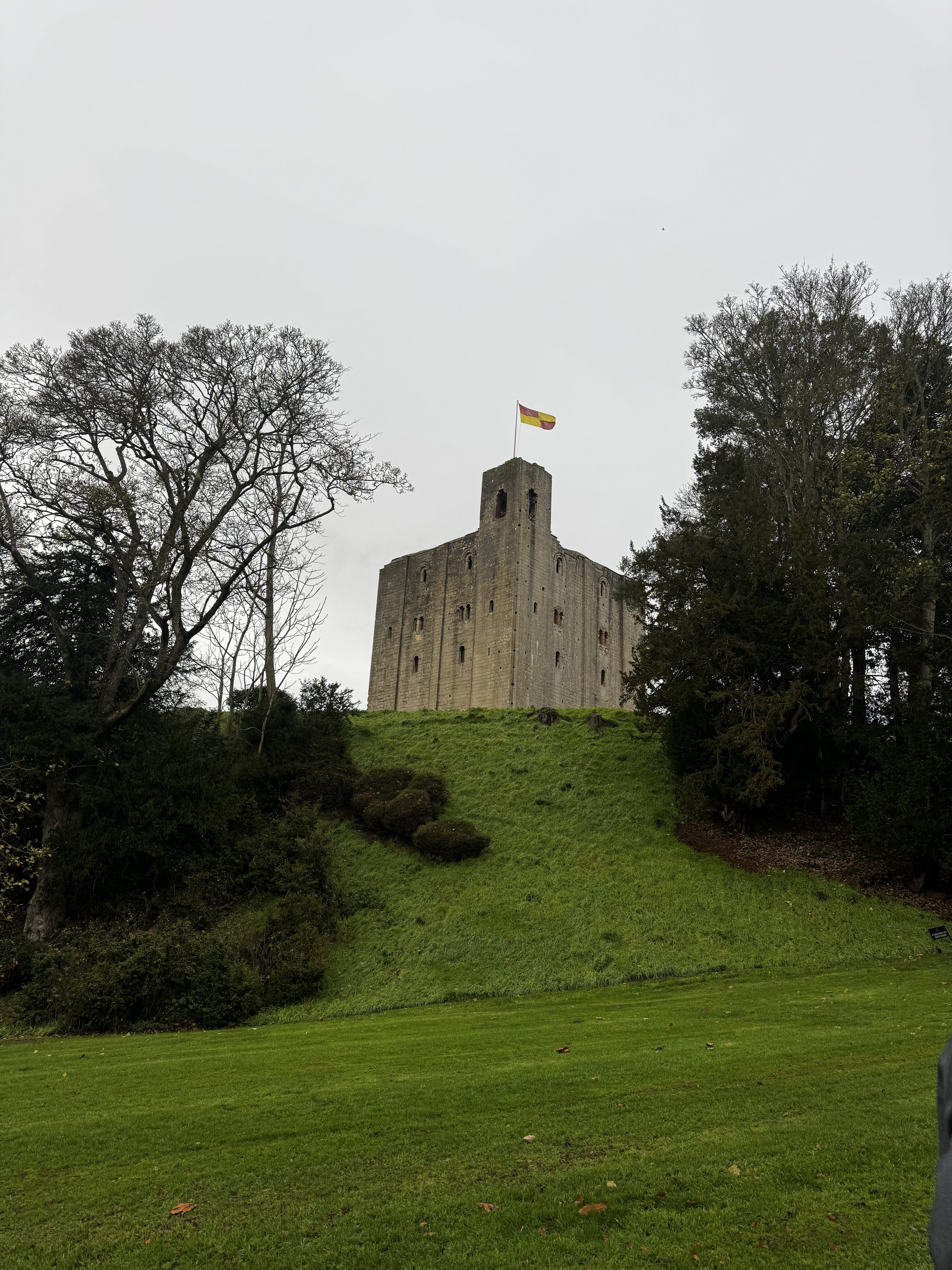 nZVbT75MXon0-IMG_1987